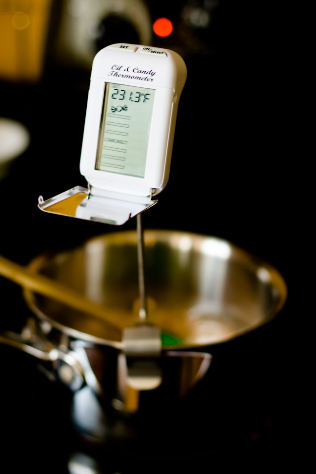 Maverick Digital Candy Thermometer Giveaway Cupcake Project