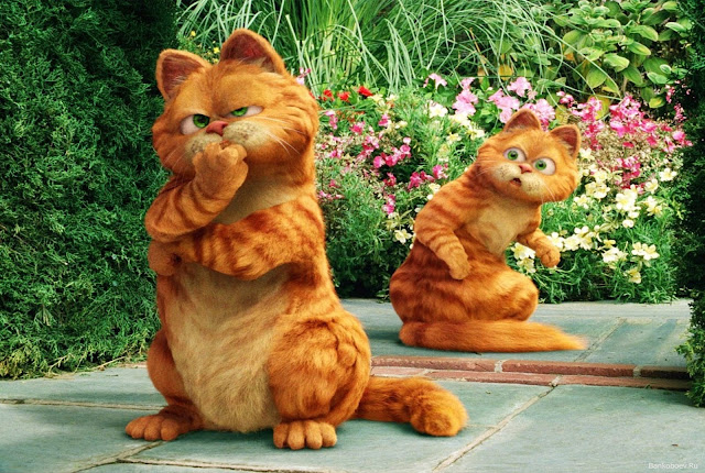 Wallpaper Lucu Gambar Kucing Garfield  Terbaru 2019 Kata 