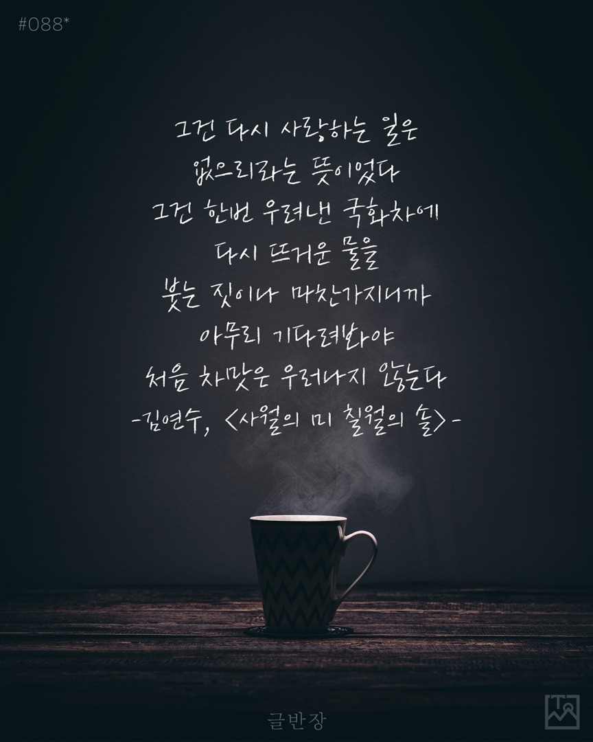처음 차맛은 우러나지 않는다 - 김연수, <사월의 미 칠월의 솔>
