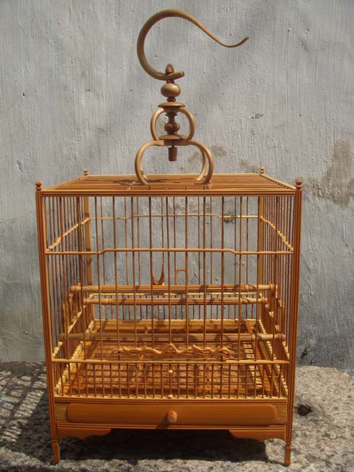 Unique Bird Cages - Unique Small Wide Colorful Parrot Cages