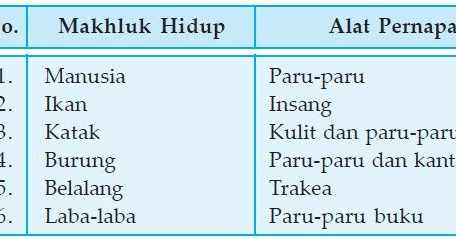 Ciri-ciri Makhluk Hidup 1