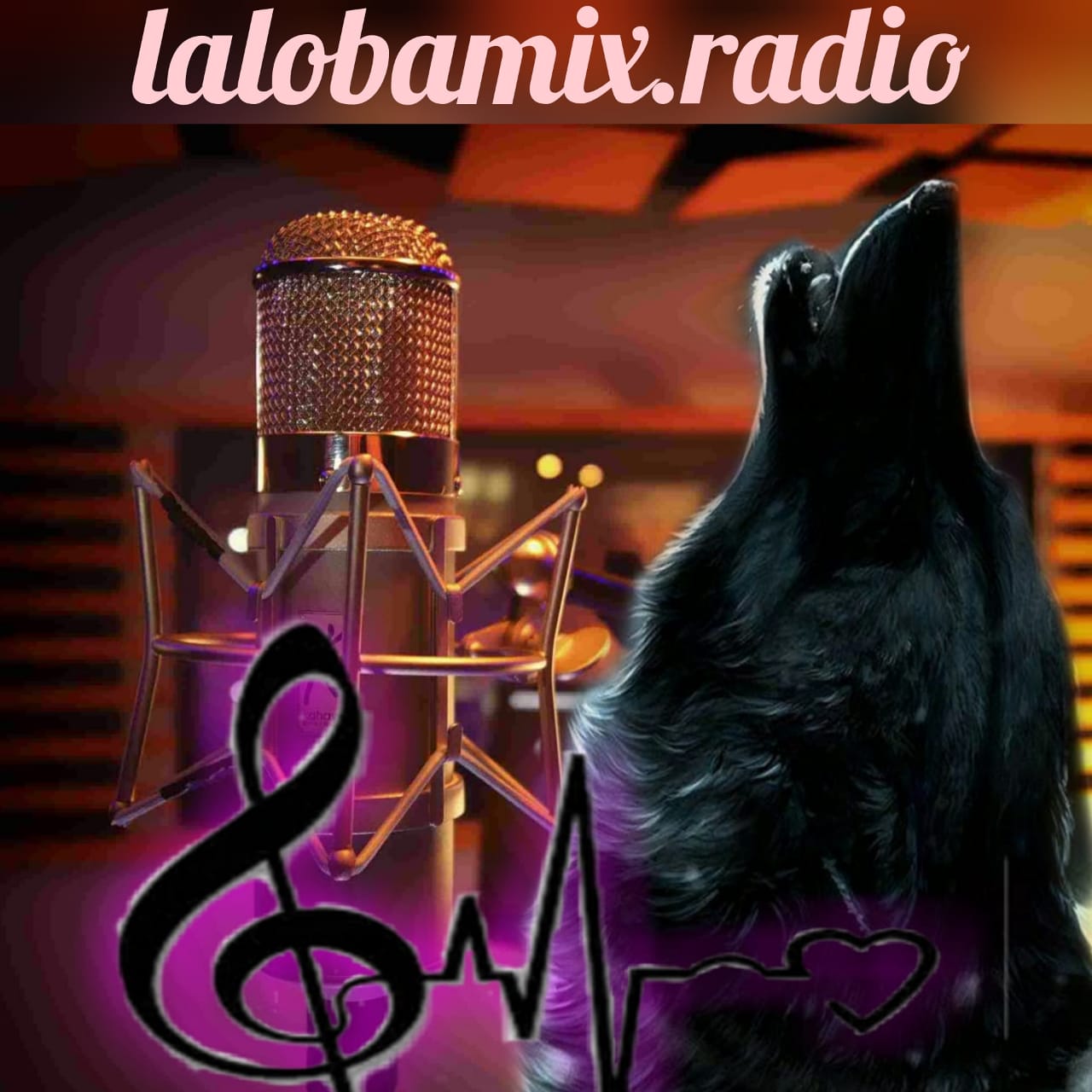 Mi Radio La Loba Mix Radio