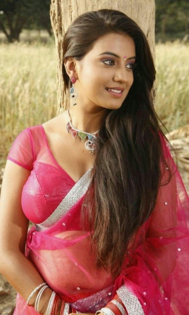 Priyanka Jawalkar Hot Photos In Pink Saree - Telugu 