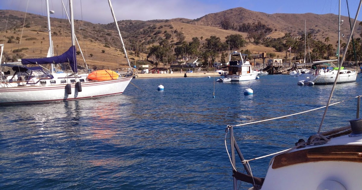 Captain Curran's sailing blog Mooring on a ball or anchoring at Two