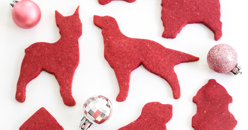 Be different...act normal: dog gone cute valentine cookies Gift This! Christmas Cookies For Dogs | Sprinkle Bakes | Bloglovin’