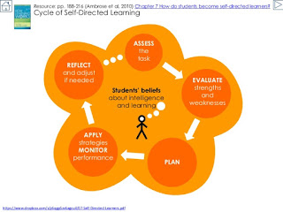 Cycle of Self Directed Learning