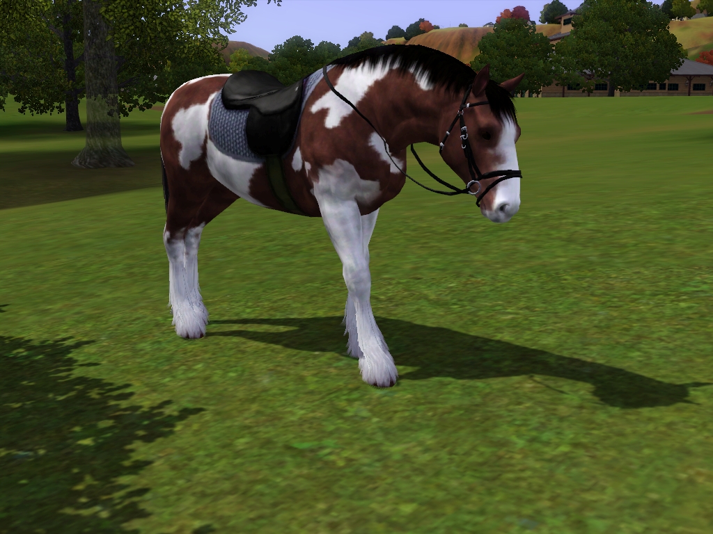 Silleren's Sims3: Horses