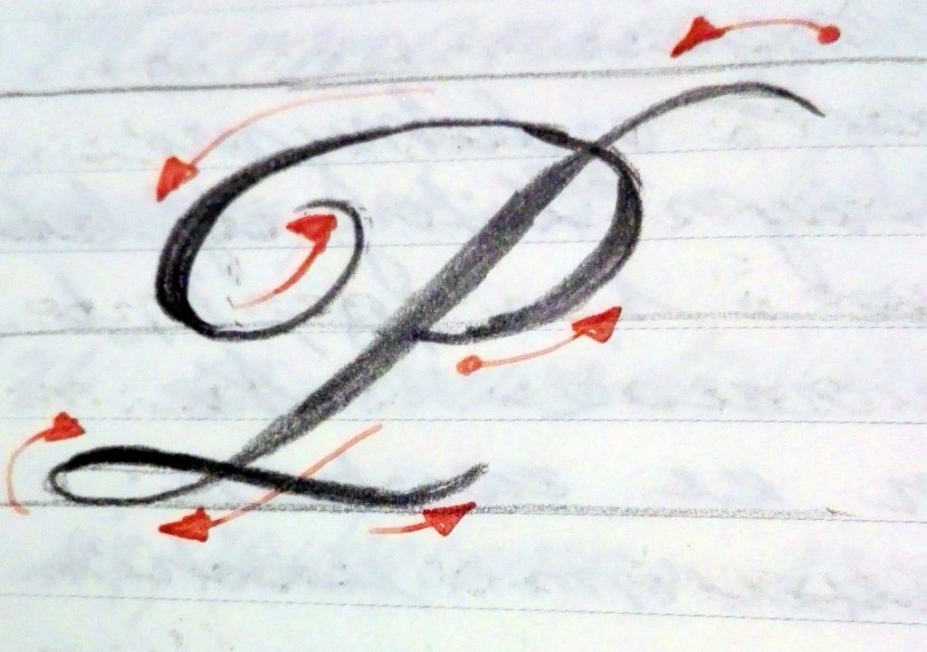 Dowolnik Kaligrafia Artystyczna Cwiczenia W Pismie Ozdobnym I W