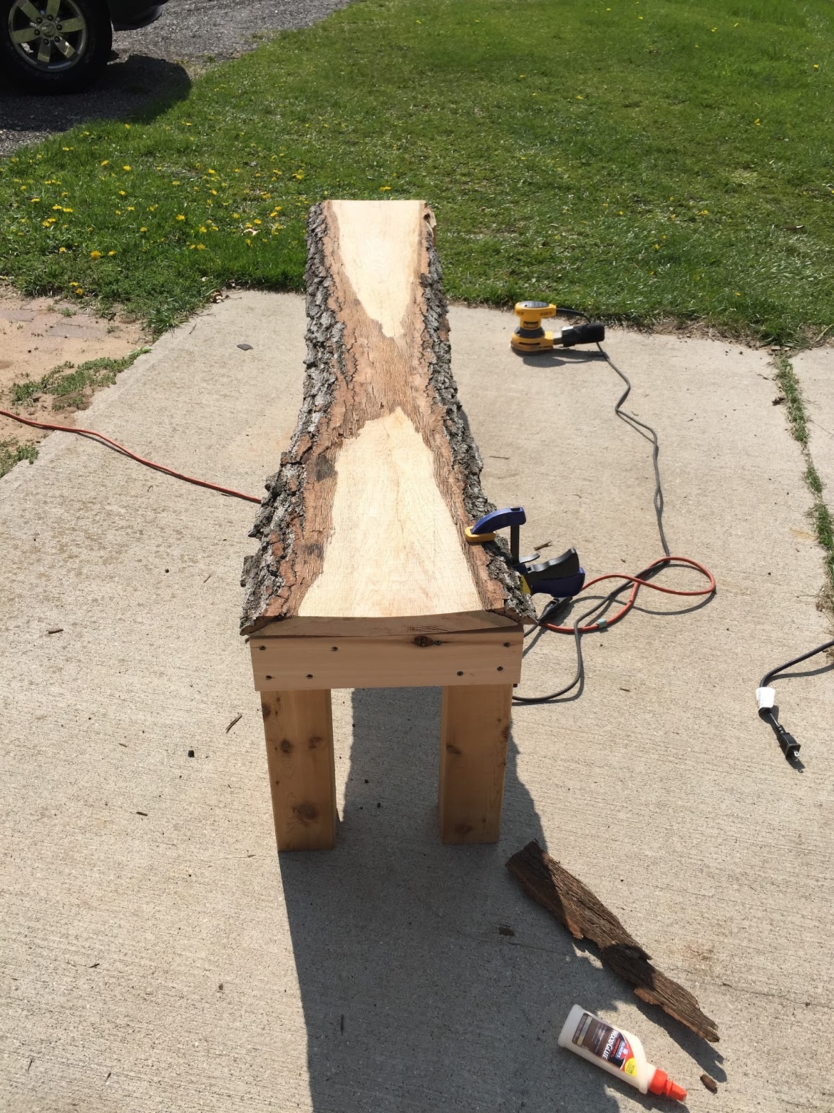 Live Edge Bench The Wolven House Project