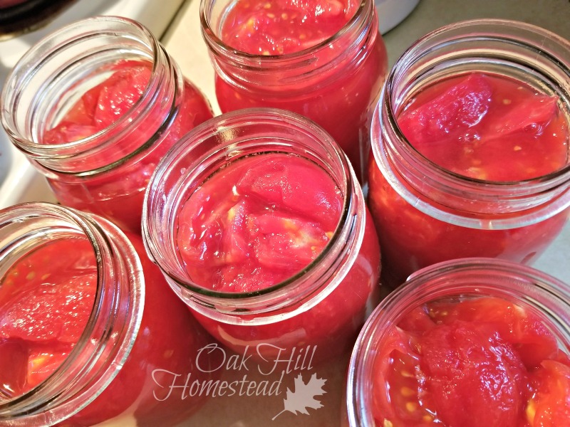 Canning Tomatoes 101 Oak Hill Homestead