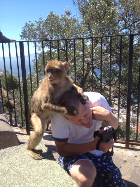 Monkeys at Gibraltar