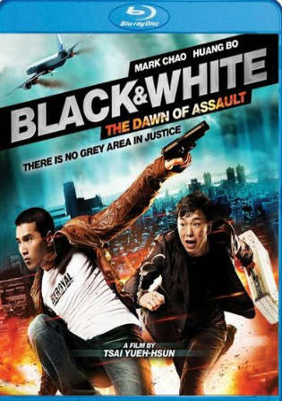 Black And White The Dawn Of Assault 2012 Hindi Dual Audio 480p BluRay 490MB