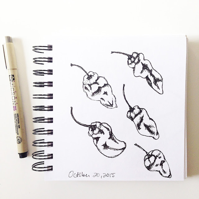 daily sketchbook, sketchbooks, habaneros, Anne Butera, My Giant Strawberry