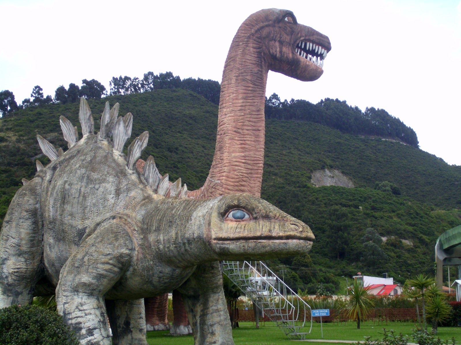 zoologico parque jaime duque - colombia mi tierra agencia de viajes y transporte - hospedaje - transporte escolar - transporte turistico - trasnporte empresarial - salidas pedagogicas - excursiones - pasa dia - dia solar - colegios - universidades - parque tematico