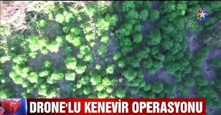 Drone ile Kenevir operasyonu 