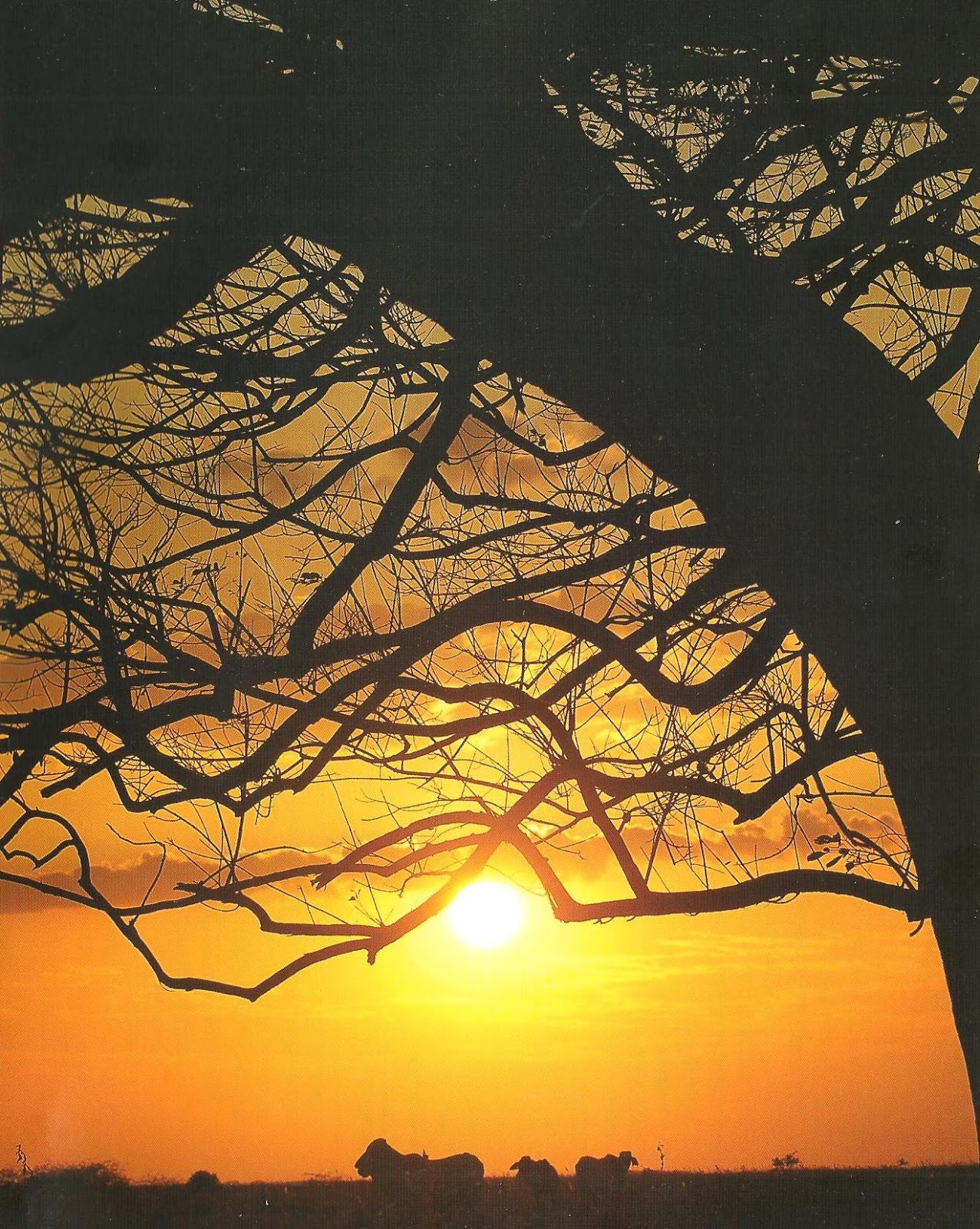 90 del municipio Rómulo Gallegos es potencial para el Ecoturismo en