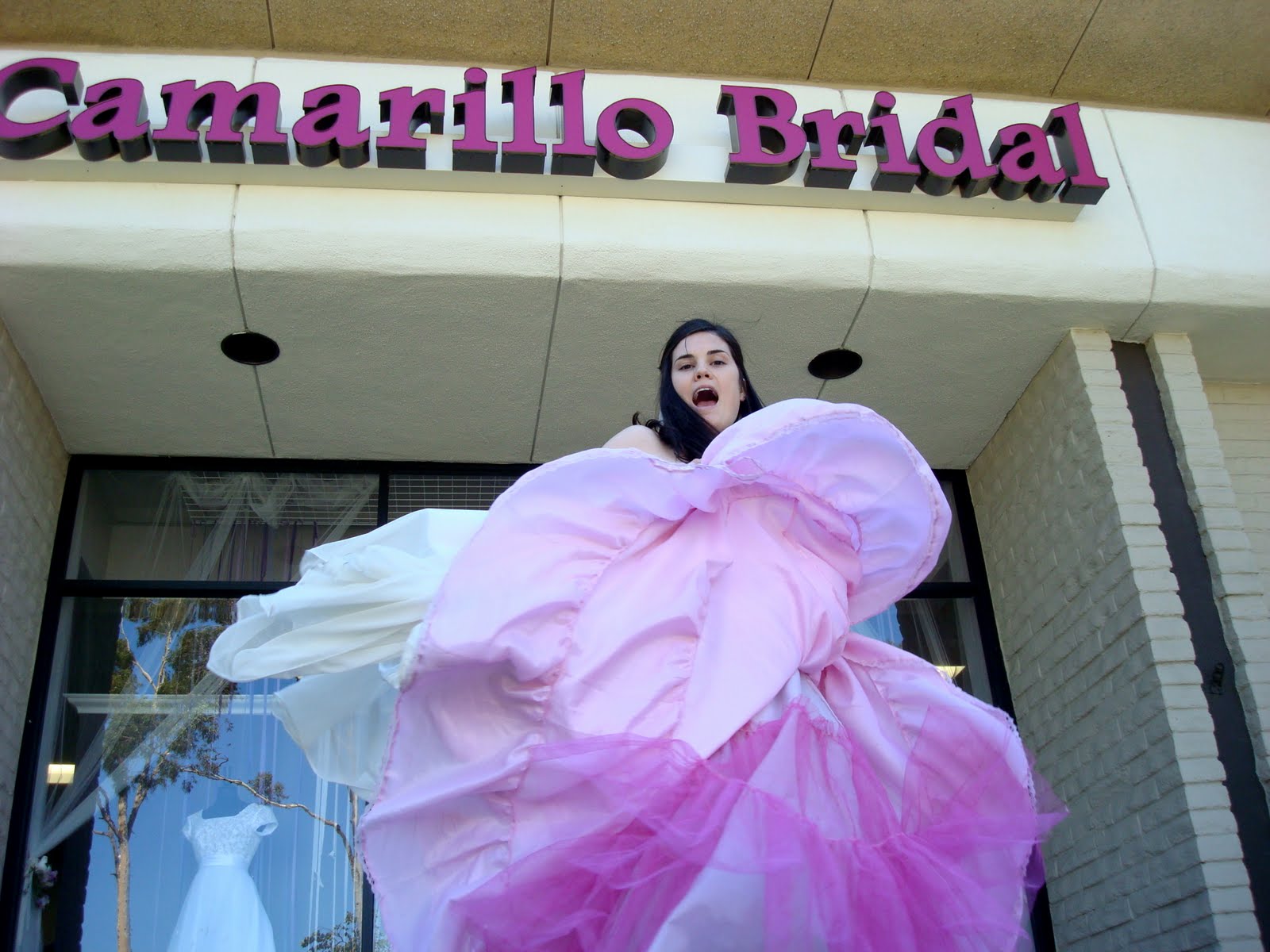Camarillo Bridal Petticoats and Cakes