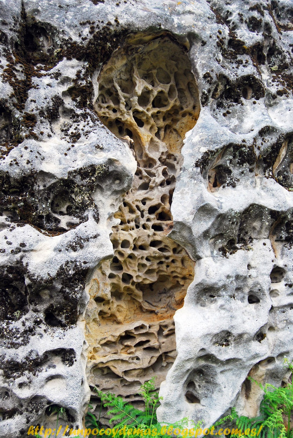 De todo un poco y alguna cosa más: Gaztarrotz (1)