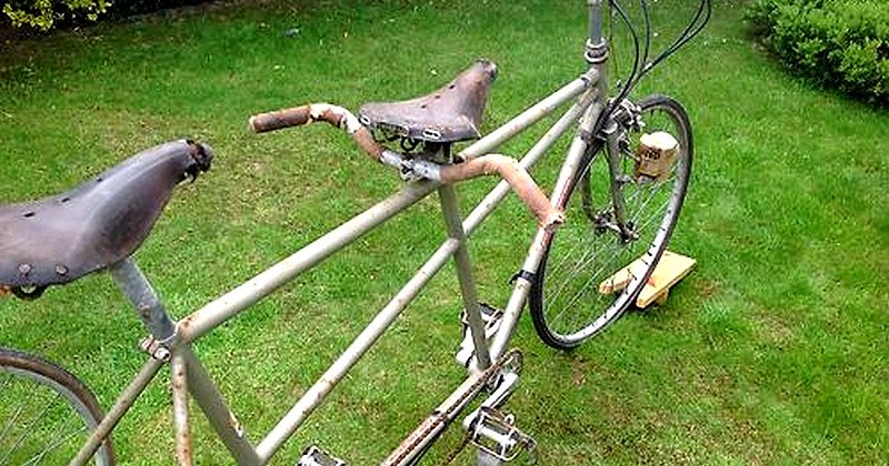 twin trike ebay