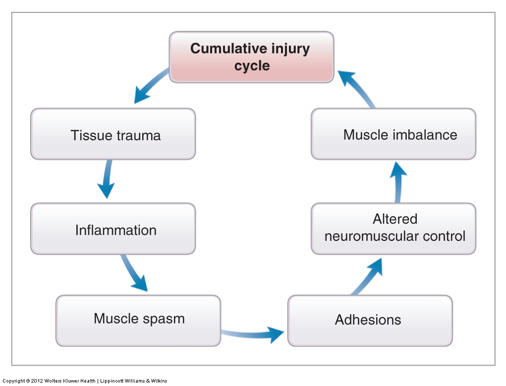 Image result for cumulative injury cycle