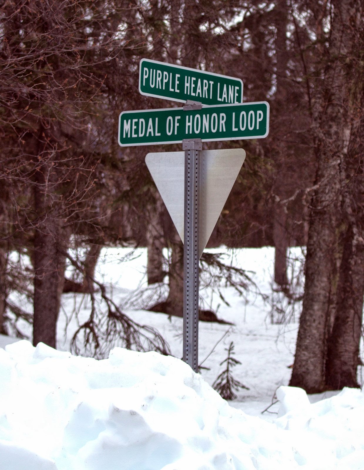 Visiting Alaska Veterans Memorial again