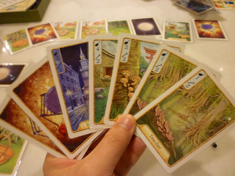 Hiew's Boardgame Blog Morels / Fungi