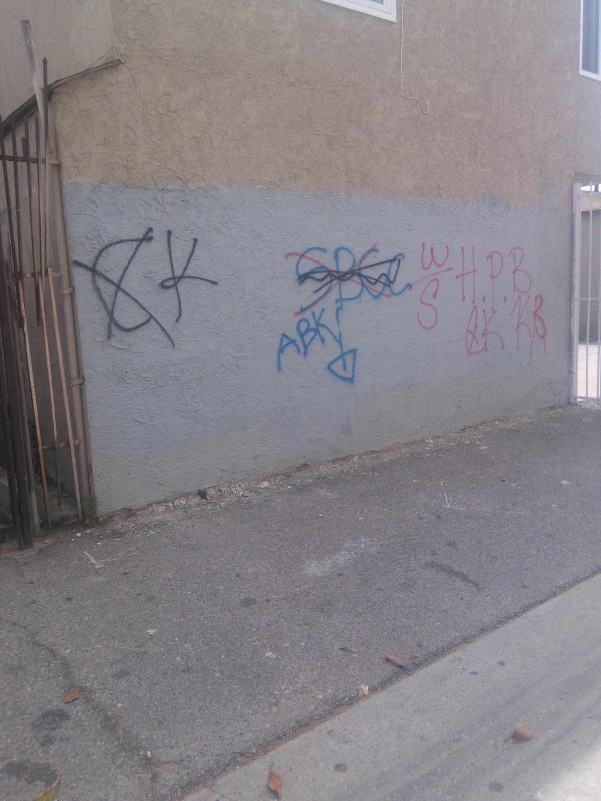 La Brim Bloods 33
