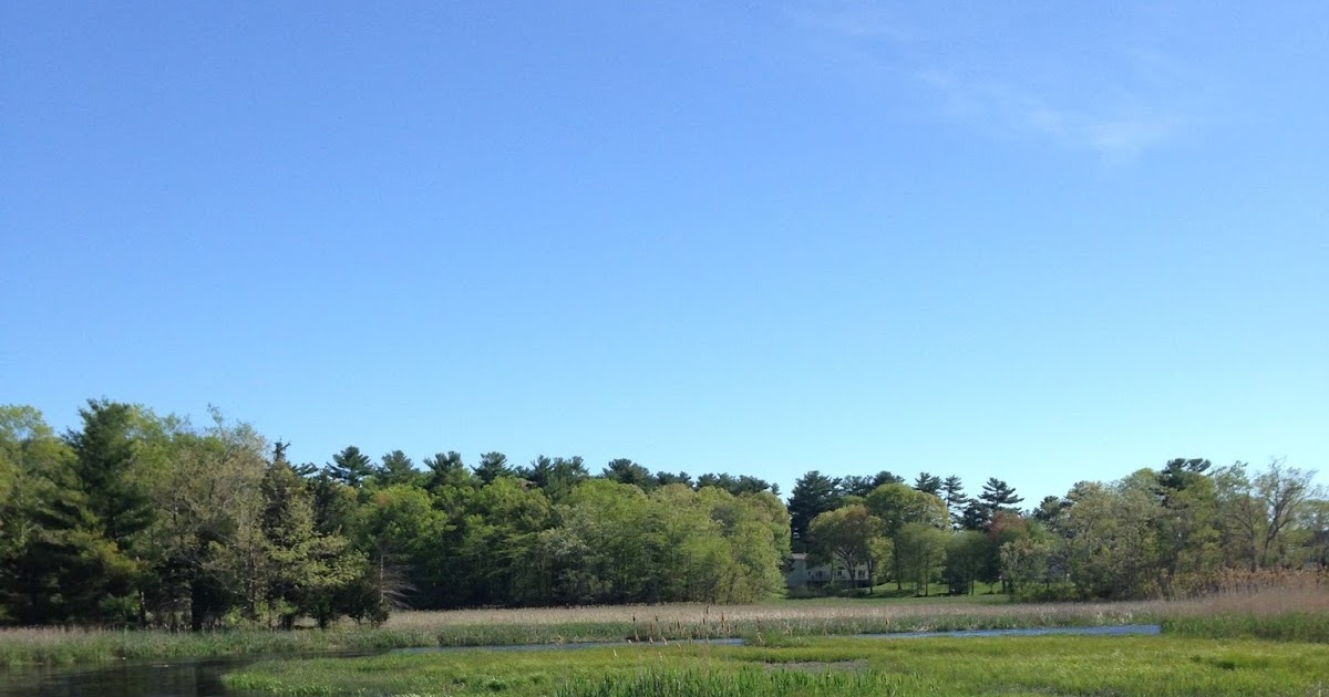 Nature Marshfield's Bridle Trail and Rail Trail