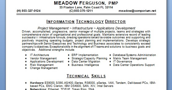 Director Information Technology - Director%2BInformation%2BTechnology%2BResume%2BLatest%2BDesign%2Bin%2BWord%2BFormat%2BFree%2BDownload 