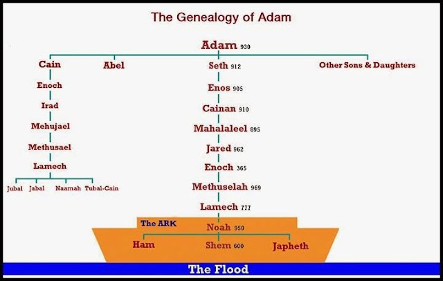 The Genealogy of Adam