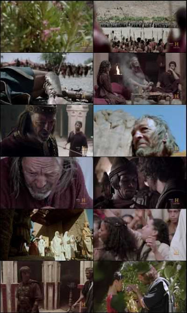 The Bible 2013
