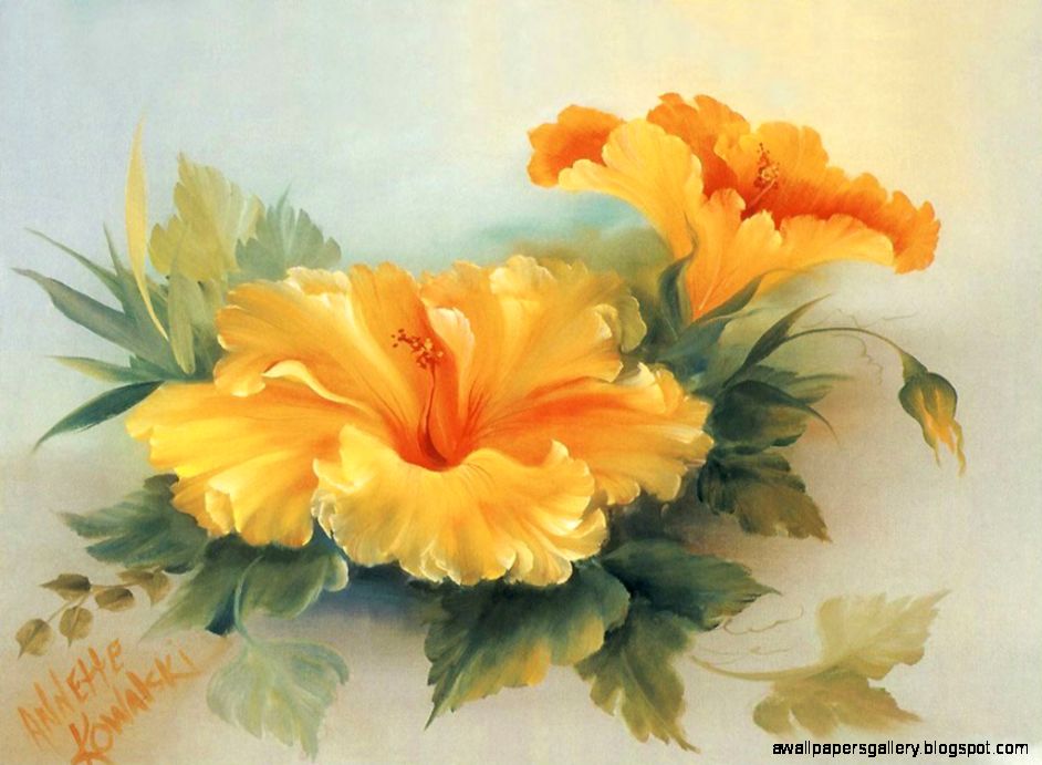 Red Hibiscus Flower wallpaper – wallpaper free download