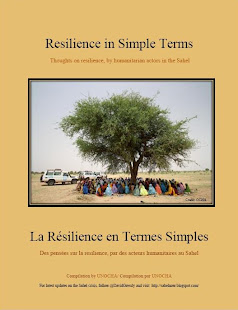 E-book on resilience