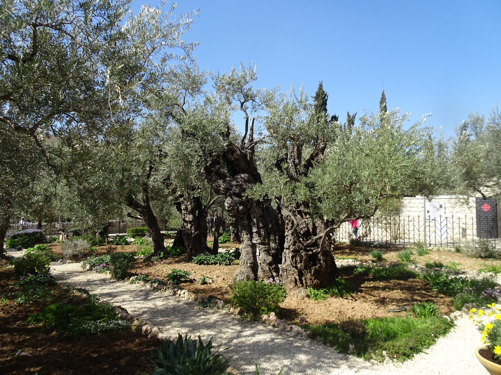 Vor Ort Garten Gethsemane Und Die Kirche Der Nationen