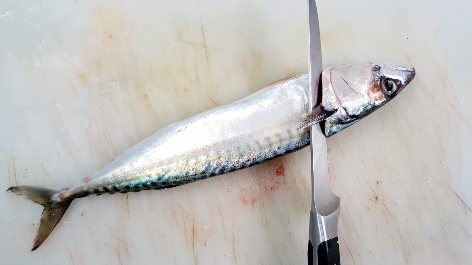 Lever des filets de maquereau