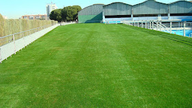 Suelo de cesped