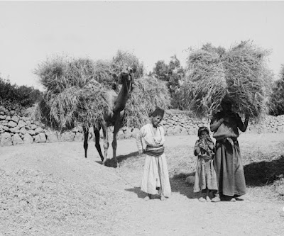 Fotografías antiguas de Palestina