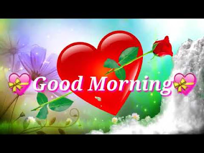 good morning good morning