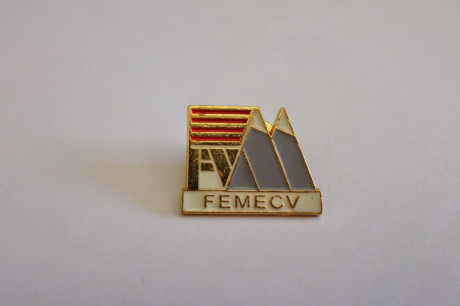 TUGA PINS Federación de Deportes de Montaña y Escalada de la Comunidad