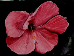 hibiscus watercolor flower painting paint michels kathy