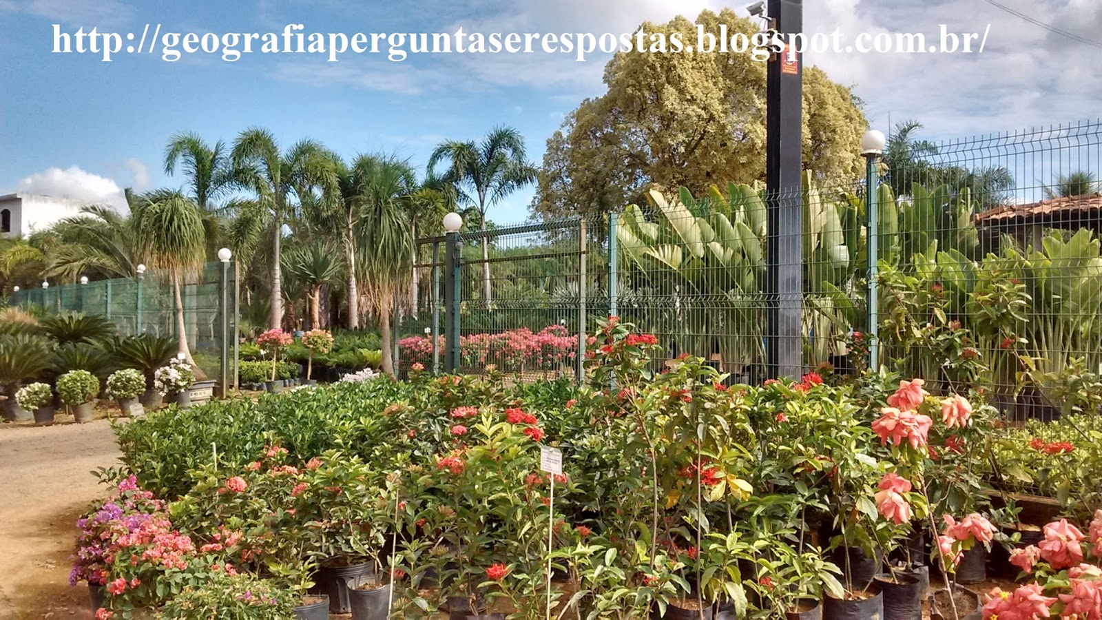 Geografia - Perguntas e Respostas: Sessão Cidades de Minas: Conheça