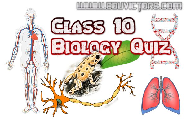 CBSE Papers, Questions, Answers, MCQ: CBSE Class 10 - Biology Quiz