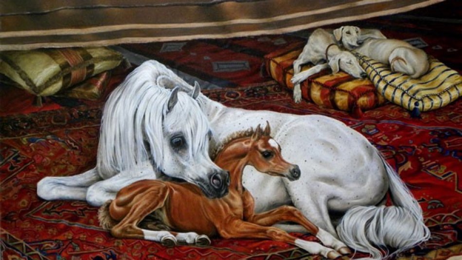 5 TIPS FOR FEEDING LACTATING MARES