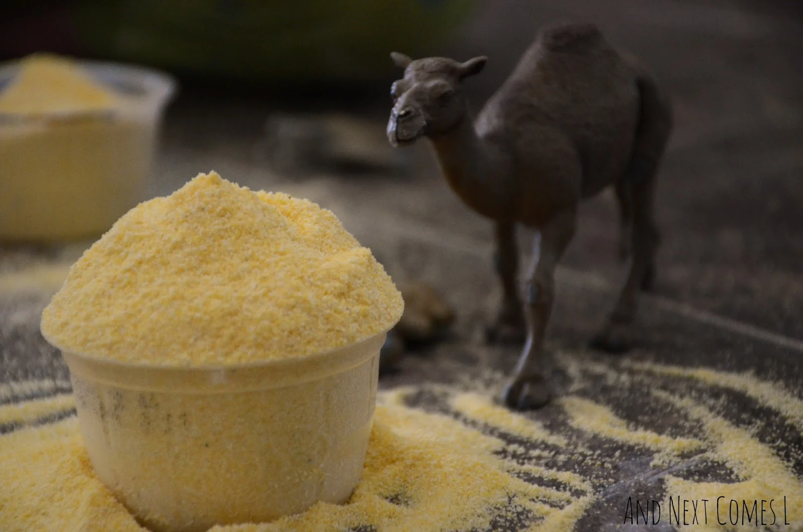Close up of cornmeal and a camel from And Next Comes L