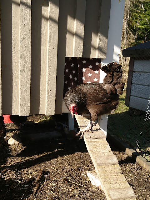 Aasian kauneus tyttö porno