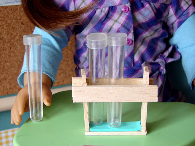 American Girl Doll Play: Doll Craft: Make Your Dolls a Science Set