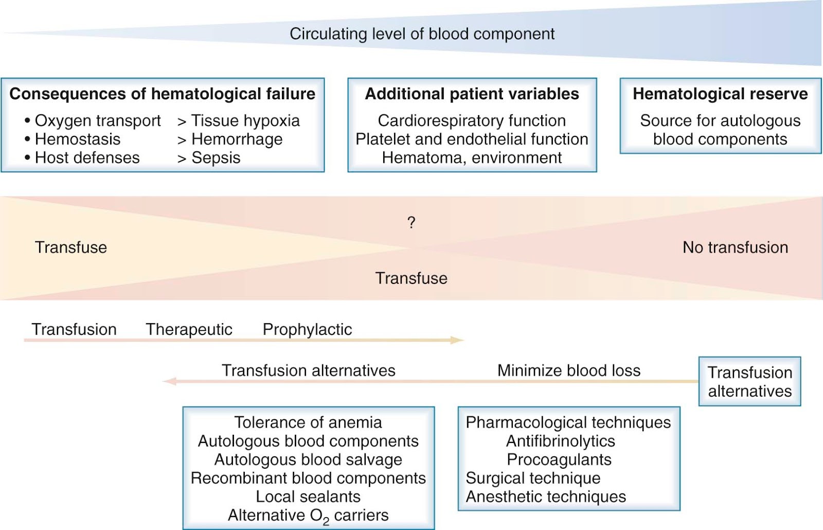 anemia sideropenica e improvvisa perdita di peso