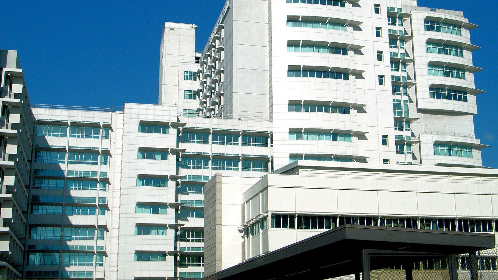 Nursing Programs In California Universities University University Choices