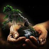 APA BEDA TANAMAN BONSAI DENGAN TANAMAN HIAS