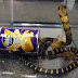Cobra βγήκε από πατάκια!!! Θανάσιμα φίδια φτάνουν στις ΗΠΑ μέσα σε...κουτιά με τσιπς